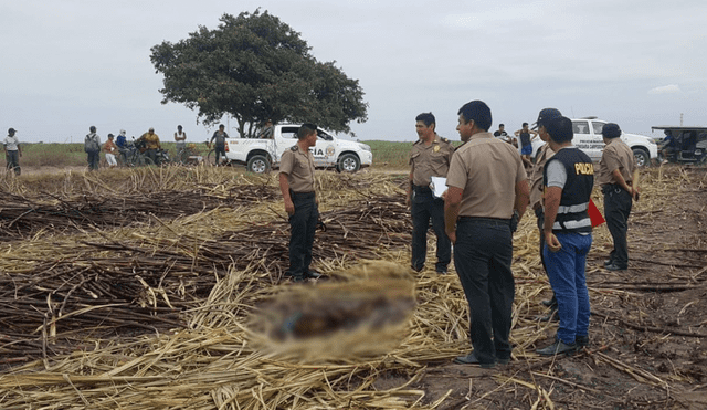 Lambayeque: encuentran cadáver de mujer en sembríos de caña [VIDEO]