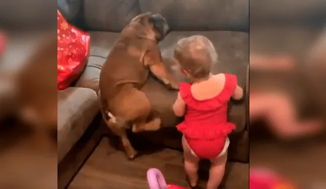 Video es viral en Facebook. La mamá de la bebé grabó el curioso episodio que protagonizó la menor junto a su mascota tras imitar los graciosos movimientos de esta