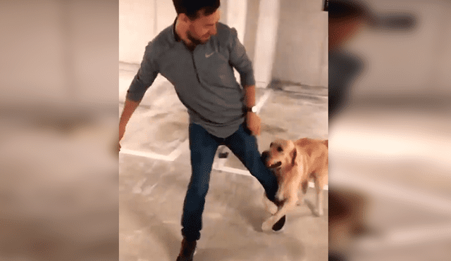 En Facebook, un perro deseaba jugar con su dueño y lo sujetó de la pierna para que no se vaya a trabajar.