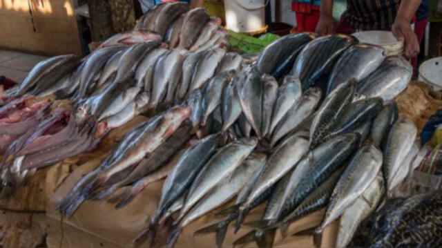 Produce venderá a precio de costo 9 toneladas de pescado en varios distritos de Lima