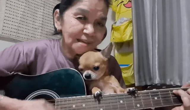 En Facebook, una mujer tocó la canción Hey Jude en una transmisión en vivo para dedicarlo a su tierna mascota.