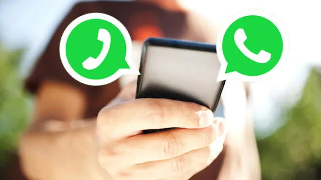 WhatsApp se ha convertido en una app imprescindible para cualquier persona.