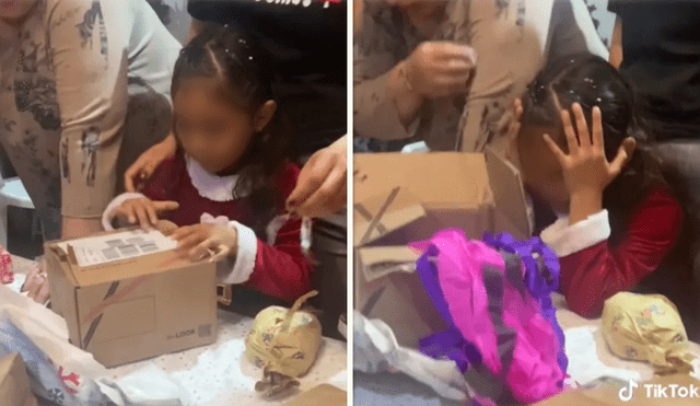 Niña mexicana fue sorprendida con un gel antibacterial como regalo de Navidad y su reacción se hizo viral. Foto: composición LR / TikTok: @paleriaidk