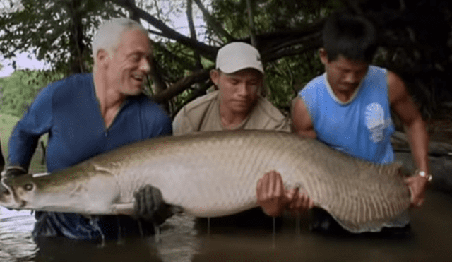 Pescadores ingresan a peligroso río para captura a gigantesco monstruo de río.