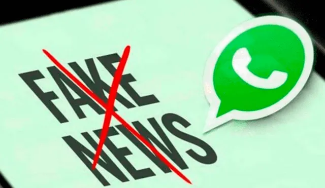 WhatsApp y la IFCN lanzan chatbot en español para verificar noticias falsas de coronavirus.