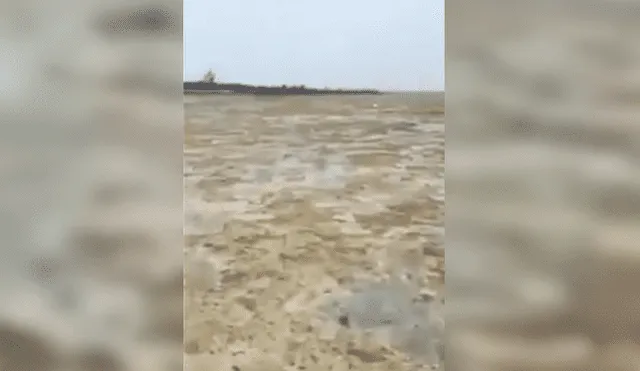 Video muestra cómo el paso del huracán Irma hizo desaparecer el mar de una playa