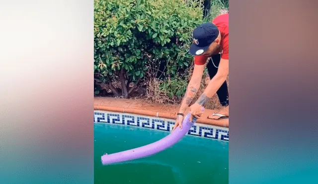 Desliza las imágenes para ver el dramático rescate que hizo un joven a un ratón que se estaba ahogando en una piscina. Foto: Mag Demon/TikTok