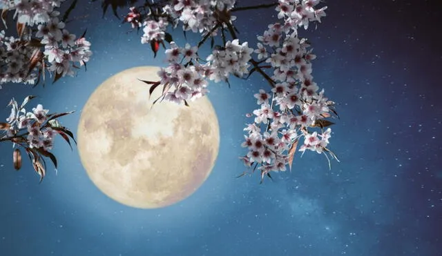 Superluna de las flores. Foto: Shutterstock.