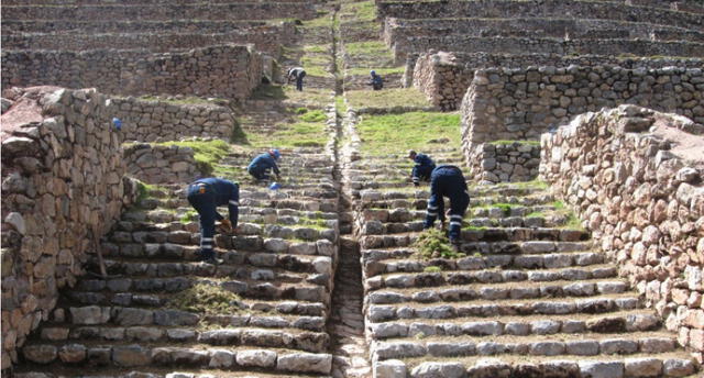 Trabajadores realizan corte de pastos, mala hierba, cabecera de muros, entre otros.