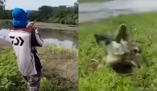 Facebook: furioso cocodrilo emerge de río para 'perseguir' a pescador por robarse su comida [VIDEO]