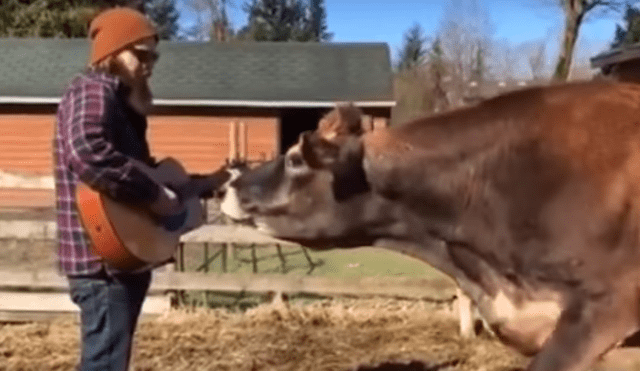 YouTube: le canta a vacas y ellas reaccionan con conmovedor llanto [VIDEO]