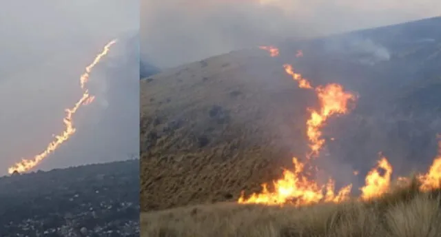 Incendios en Ayacucho arrasaron con flora y fauna. Foto: Global Ayacucho