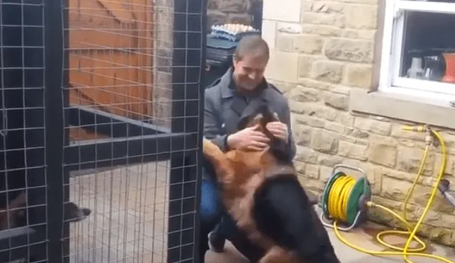 YouTube viral: perro se reencuentra con su dueño que lo cuidó de bebé y reacción del animal conmueve [VIDEO]
