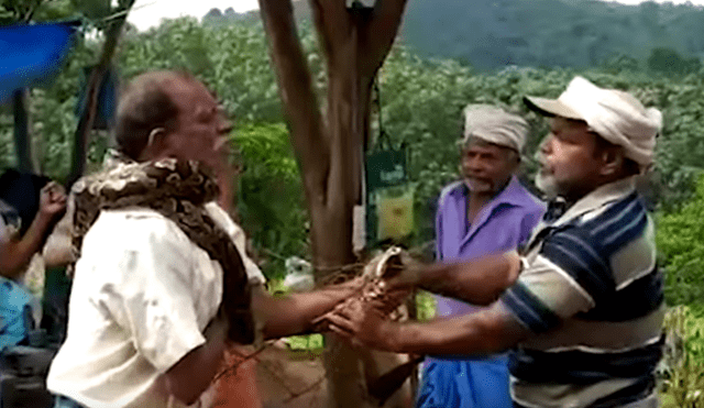 Un video viral de Facebook registró el momento en que una enorme serpiente pitón ataca a un hombre.