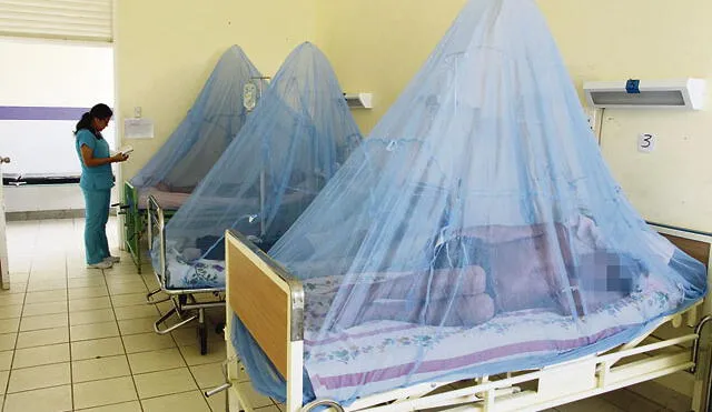 Faltan recursos para frenar el dengue en Piura y Lambayeque