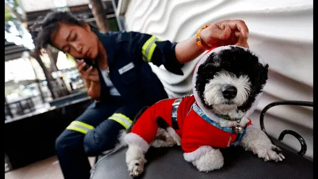 Barrendera y su perro se vuelven viral en redes sociales. Foto: Reuters