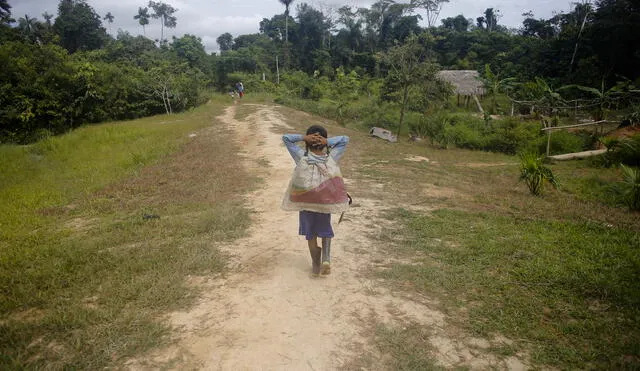 TALA ILEGAL, EN SIRRA DEL DIVISOR, PUCALLPA, UACAYLI, RIO UCAYALI, DEPREDACION DE BOSQUE, ACERRADEROS, NIÑOS TRABAJADORES