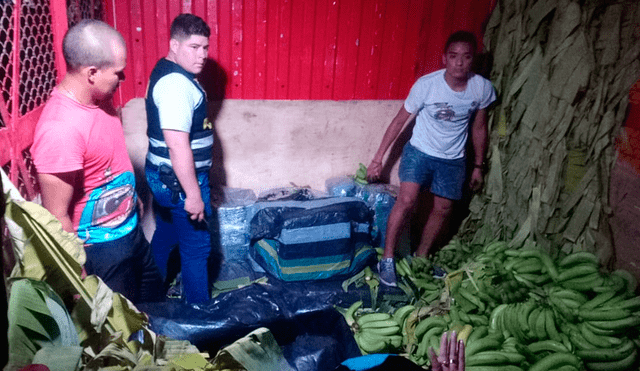 Decomisan 291 kilos de marihuana camuflados en carga de plátanos en Tumbes