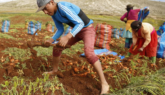 Agricultores preparados para uso de fitosanitarios