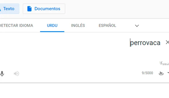 Google Translate: escriben 'perrovaca' en traductor y resultado sorprende a alumnos de la UNMSM [FOTOS]