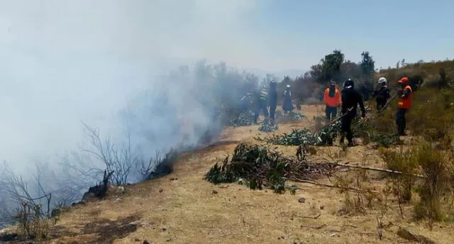 La Libertad: nuevo incendio forestal pone en riesgo complejo Marcahuamachuco 