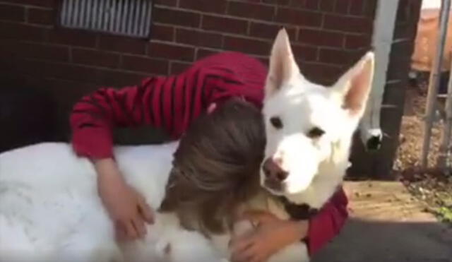 Facebook: Conmovedor reencuentro entre un niño y un perro luego de estar separados por un año