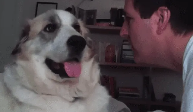 YouTube: Recibió cruel respuesta de su perro al intentar darle un beso