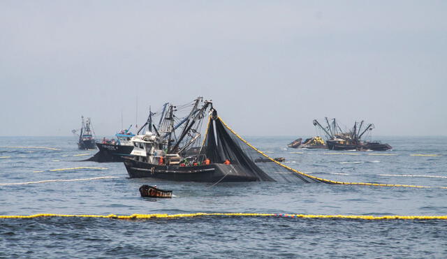 Pesca de bacalao