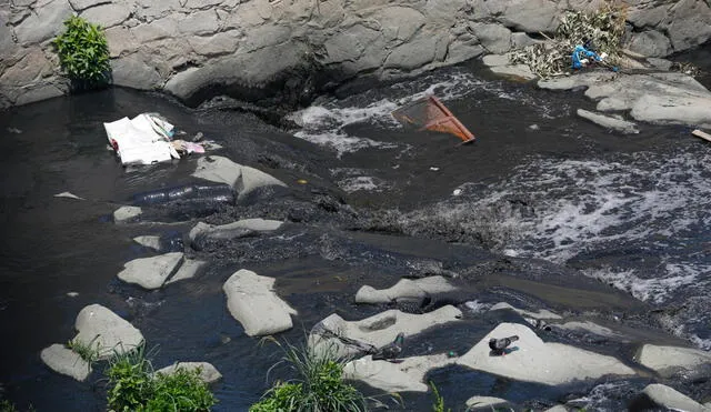 Corriente del río Rímac mostró un alarmante estado. (Fotos: Félix Contreras / GLR)