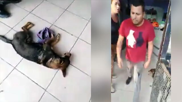 Veterinario es golpeado por sujeto que pedía atención para perro callejero atropellado [VIDEO]