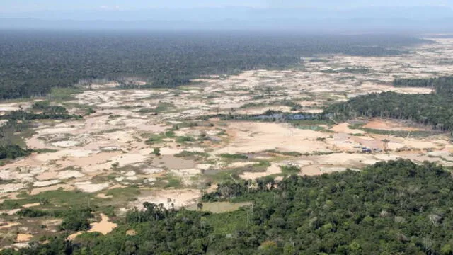 Ministerio del Ambiente: “La deforestación ha crecido en los últimos años”