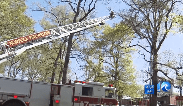 YouTube: Intenta rescatar a gato de árbol, queda atrapado y bomberos tienen que salvarlo [VIDEO]