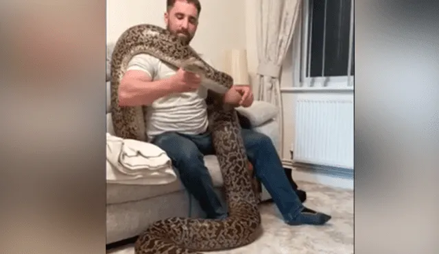Un hombre causó terror en Facebook al compartir un video, donde aparece cargando a una peligrosa serpiente.