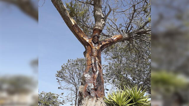Arequipa: Artesanos tallan la imagen de Cristo en árbol de plaza de Chivay [FOTOS] 