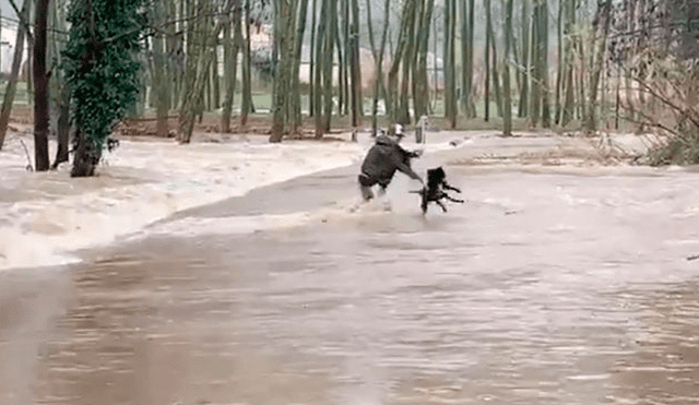 Indignación por imágenes de hombre lanzando a un perro al caudaloso río Ter [VIDEO]