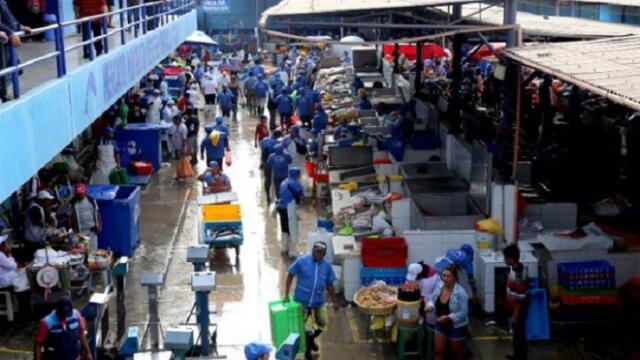 Semana Santa: terminal del Callao comercializará más de 500 toneladas de pescado 