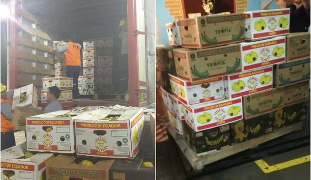Piura: Incautan 10 mil kilos de Pitahaya de contrabando escondida en un camión 