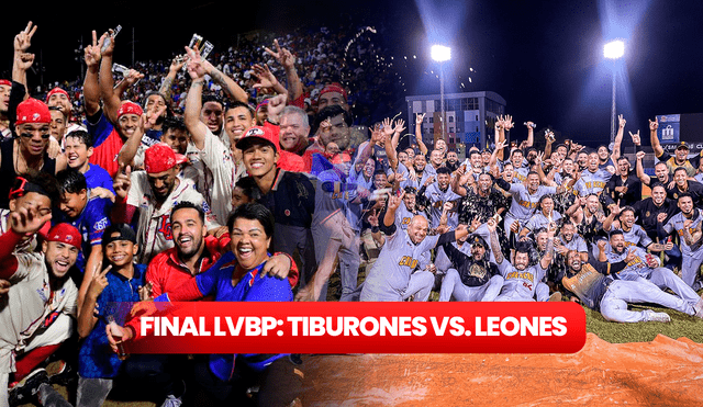 Tiburones de la Guaira y Leones del Caracas son los finalistas para la LVBP tras sus victorias. Foto: Composición LR / Twitter / @tiburones_net / @leones_cbbc