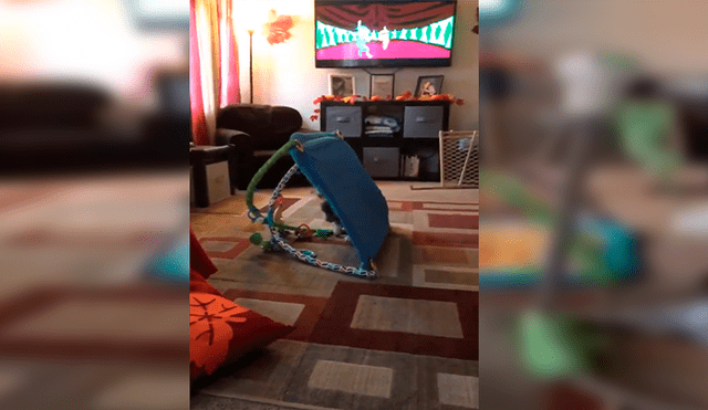 Facebook viral: Travieso perro aprovecha descuido de su dueña para agarrar los juguetes de bebé [VIDEO]