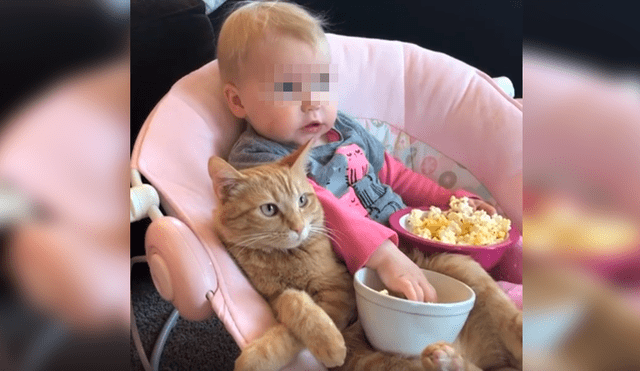 Desliza las imágenes hacia la izquierda para apreciar la emotiva escena que protagonizaron una bebé junto a su gato.