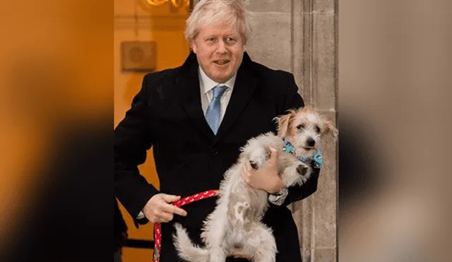 Boris Johnson y su mascota Dilyn.