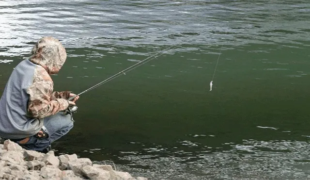 Pescado retira anzuelo de lago, sin sospechar que atraparía a letal criatura devorando a pez [VIDEO]