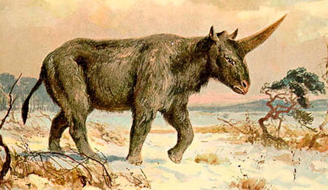 Ilustración de unicornio siberiano, realizada por Heinrich Harder en 1920.