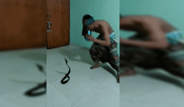 Facebook: Hombre se enfrenta a serpiente y no creerás lo qué pasó [VIDEO]