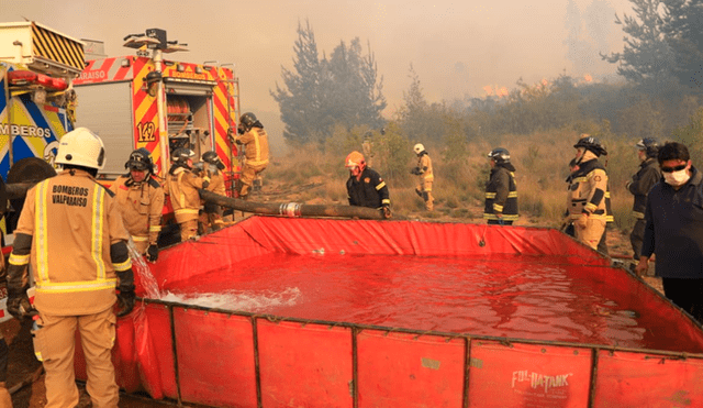Chile: incendio forestal en Valparaíso en alerta roja