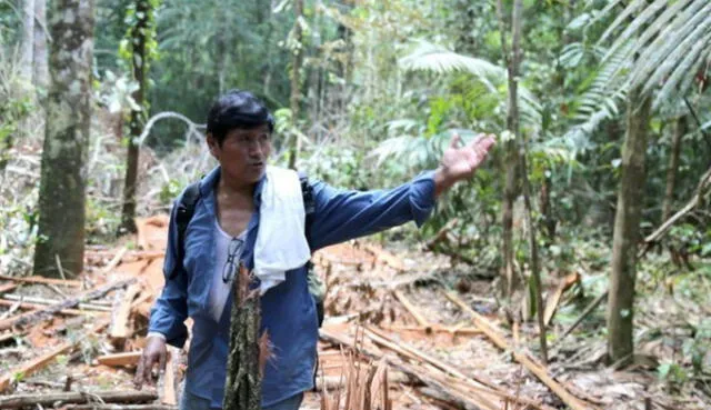 Demetrio Pacheco es natural de Mo quegua, pero defiende el bosque de Madre de Dios desde 1984. (Foto: SPDA)