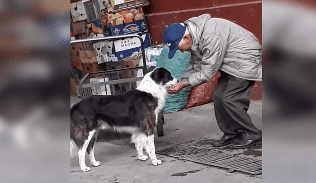 Facebook: conmovedor gesto de un anciano con un perro sediento ha impactado en las redes [VIDEO]