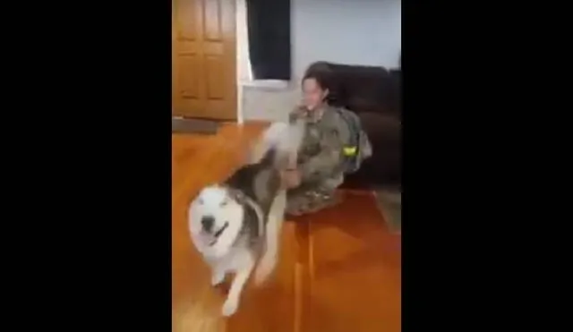 Desliza para ver la reacción del perro husky siberiano. Foto: YouTube/Captura/Taryn Dennison