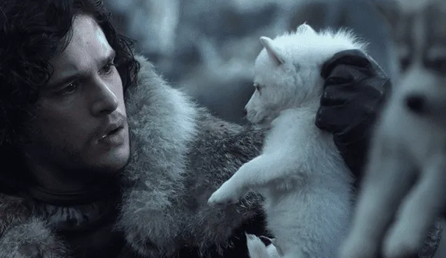 ¿Es Game of Thrones responsable del abandono masivo de perros Huskies en el Reino Unido?