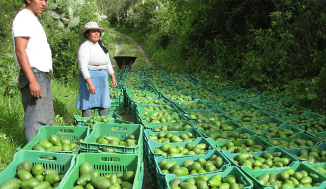 Minagri: agroexportaciones peruanas llegaron a 148 países en 2017